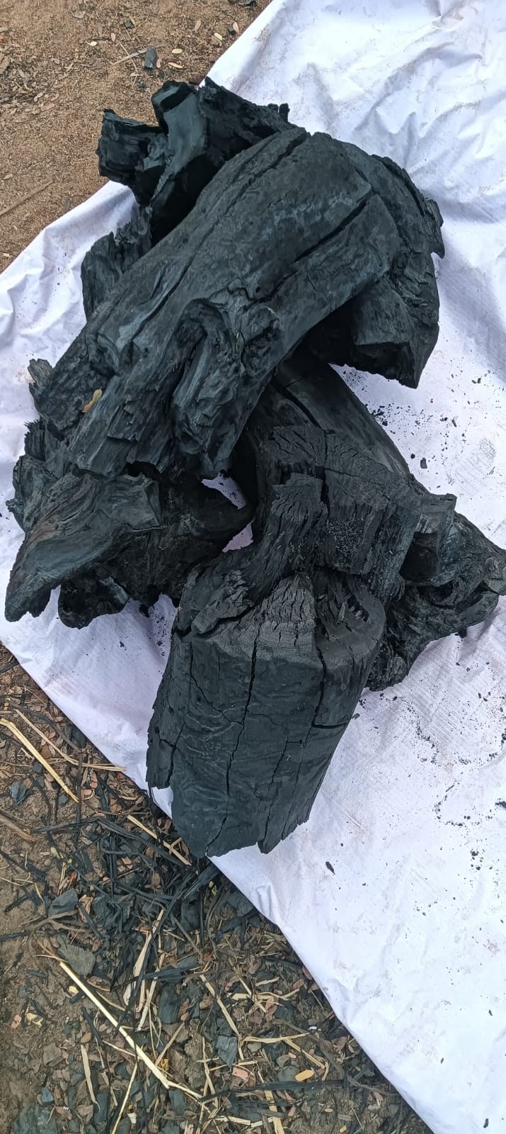 Charcoal Blocks