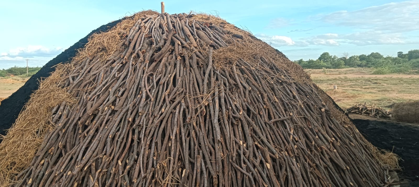 Raw Wood Stock